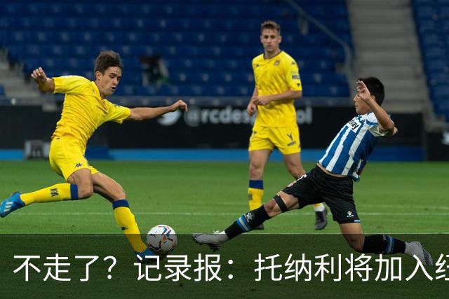 不走了？记录报：托纳利将加入纽卡斯尔的领导小组