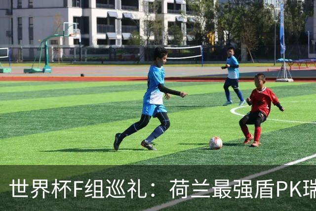 世界杯F组巡礼：荷兰最强盾PK瑞典犀利刀 日本短板明显