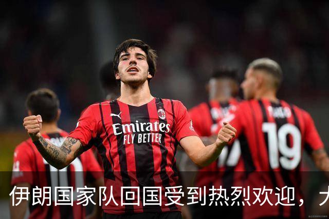 伊朗国家队回国受到热烈欢迎，大批球迷接机