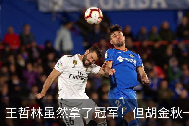 王哲林虽然拿了冠军！但胡金秋一个数据曝光，才知道谁是真核