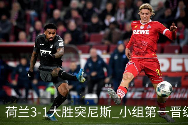荷兰3-1大胜突尼斯 小组第一晋级淘汰赛将战摩洛哥